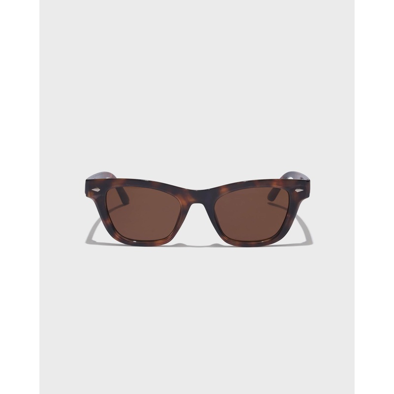 Generator - Smokey Tort / Bronze