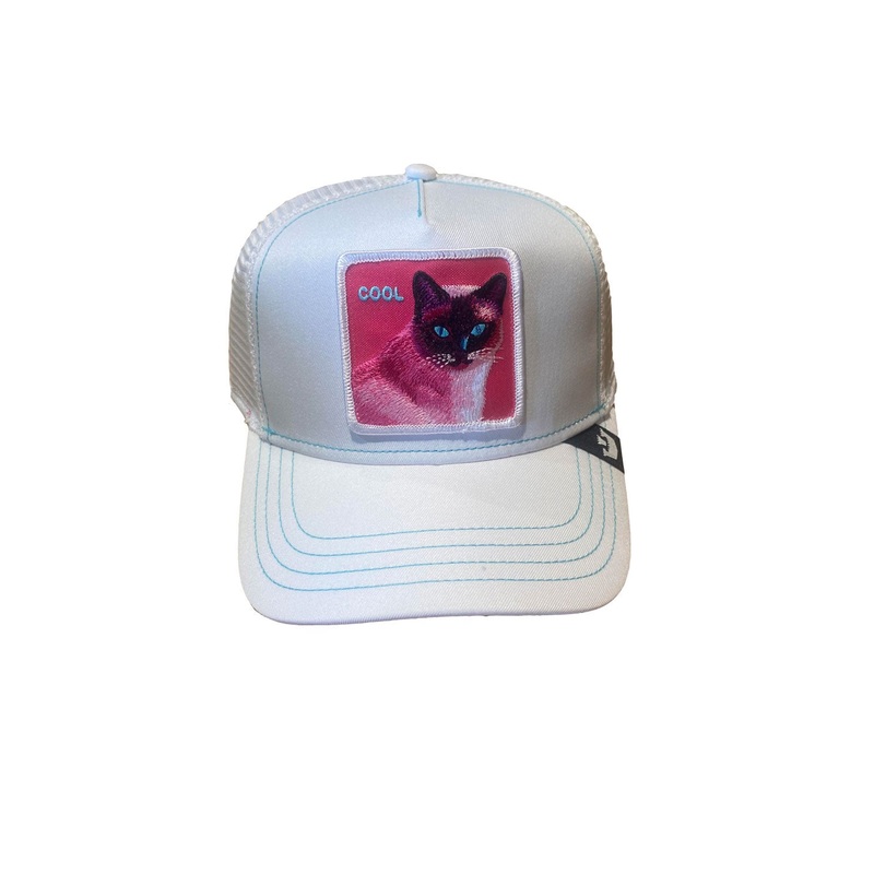 Cool Cat