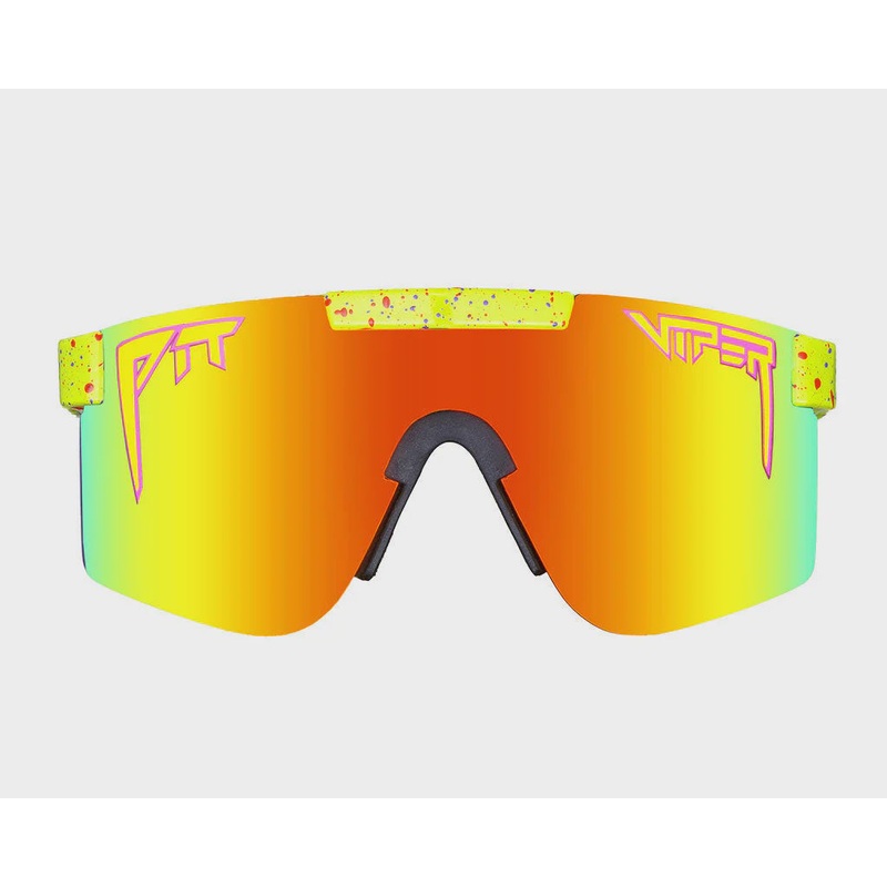 The 1993 Polarized