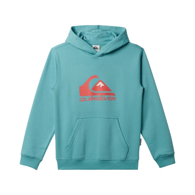 Big Logo Pullover  Hoodie