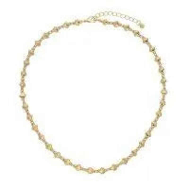 DAINTY GOLD SEASHELL CHOKER