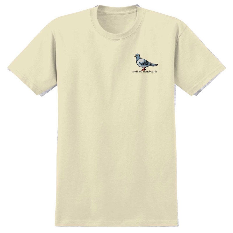 Lil Pigeon