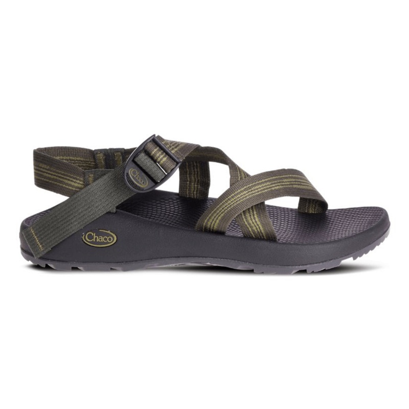 Chaco Men's Z1 Classic in Bluff Hunter