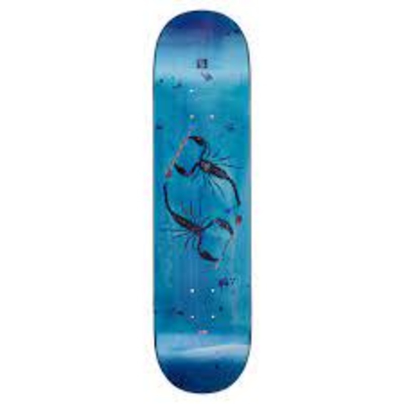 GLOBE GR RHOLTSU SCORPS DECK 8.0