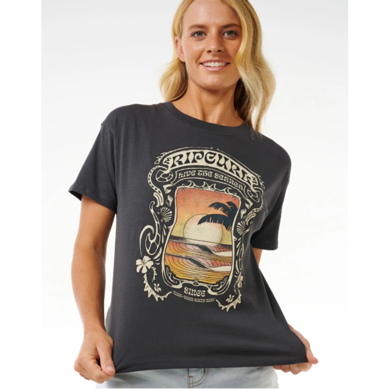 Sea Shells Relaxed